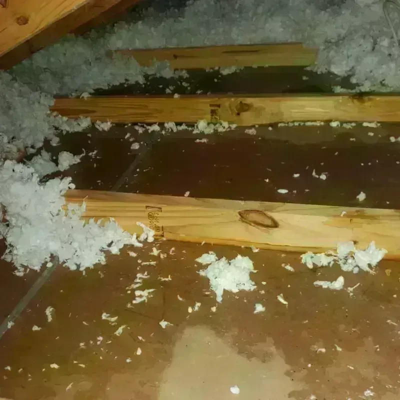 Attic Water Damage in Northcliff, TX